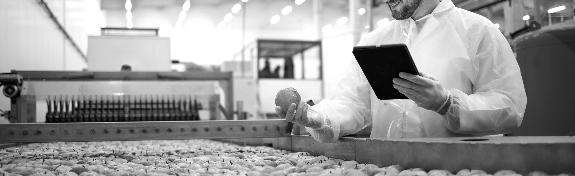 man inspecting fresh produce